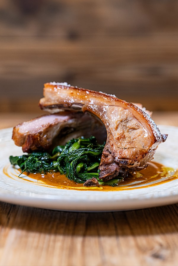 harmonia image 2 min